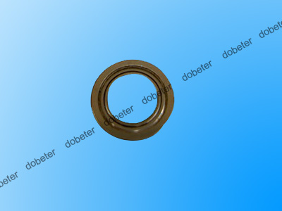 630 010 5094 bearing radial