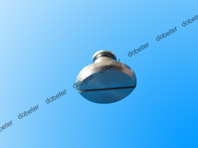 N510018279AA X01M50761 Screw